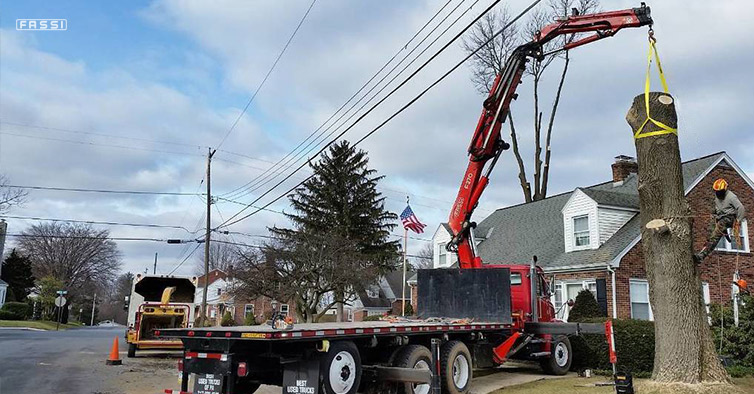 Fassi & Climb High Tree Service LLC Fassi & Climb High Tree Service LLC