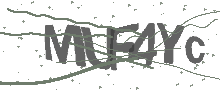 Captcha Bild
