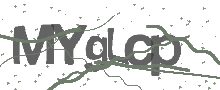 Captcha Bild
