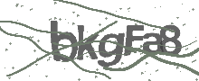 Captcha Bild