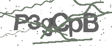 Captcha Bild