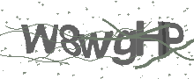 Captcha Bild