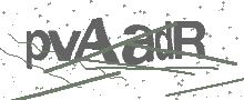 Captcha Bild