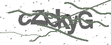 Captcha Bild