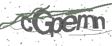 Captcha Bild