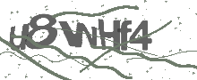 Captcha Bild
