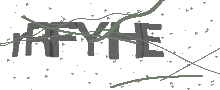 Captcha Bild