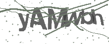 Captcha Bild