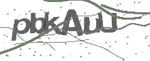 Captcha Bild
