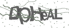 Captcha Bild