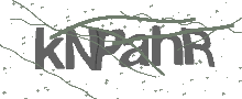 Captcha Bild