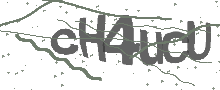 Captcha Bild
