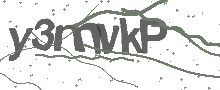 Captcha Bild