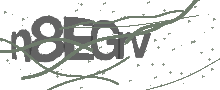 Captcha Bild