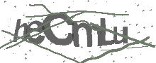 Captcha Bild