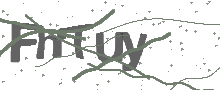 Captcha Bild