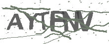 Captcha Bild