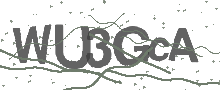 Captcha Bild