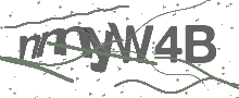 Captcha Bild