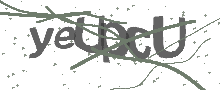 Captcha Bild