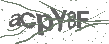 Captcha Bild
