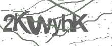 Captcha Bild