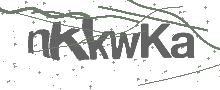 Captcha Bild