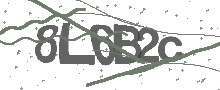 Captcha Bild