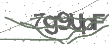 Captcha Bild