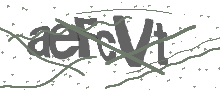 Captcha Bild