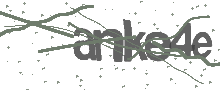 Captcha Bild