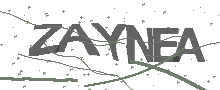 Captcha Bild