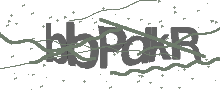 Captcha Bild