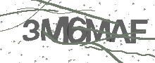 Captcha Bild